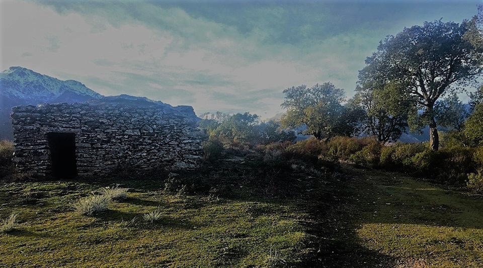 Casa Mathea * Poggio-di-Venaco